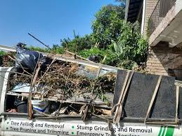 Best Residential Junk Removal  in Emmetsburg, IA