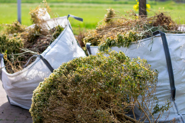 Best Basement Cleanout  in Emmetsburg, IA